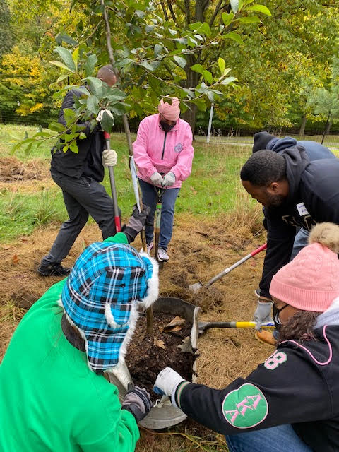 group planting trees